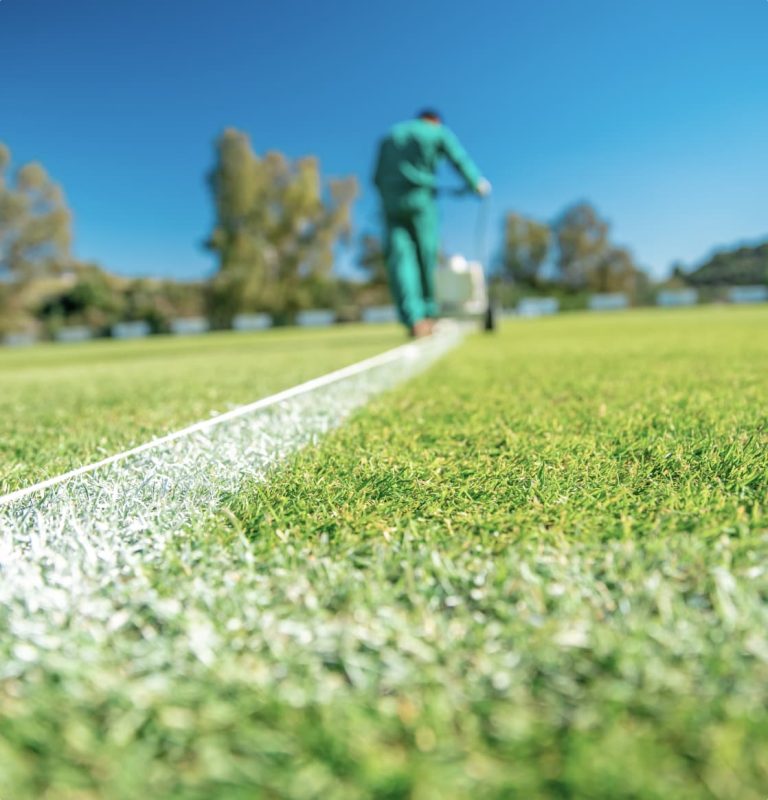 markings on natural grass