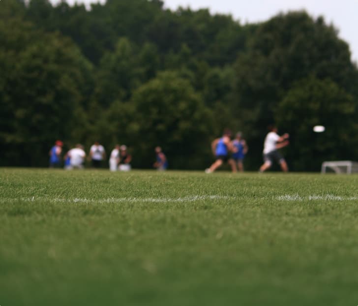 Frisbee field markings